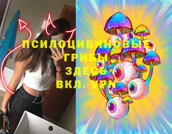 стаф Алексеевка