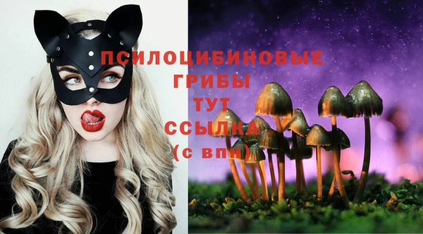 spice Абаза