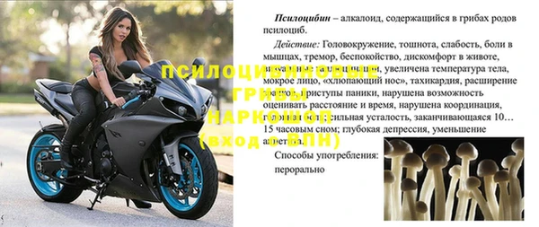 ПСИЛОЦИБИНОВЫЕ ГРИБЫ Абдулино