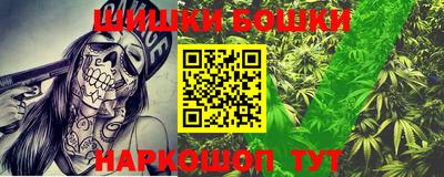 крисы Боровичи