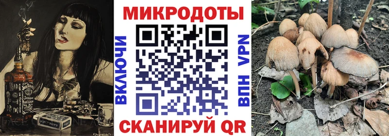 Галлюциногенные грибы Cubensis Нальчик