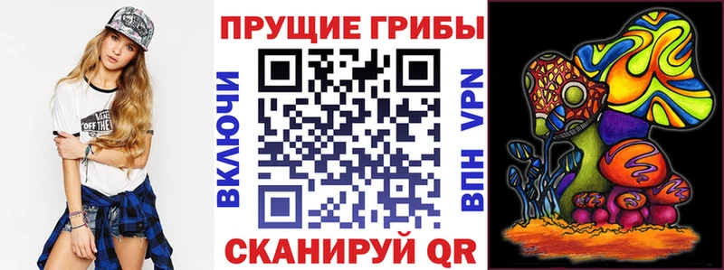 Галлюциногенные грибы Psilocybine cubensis Нальчик