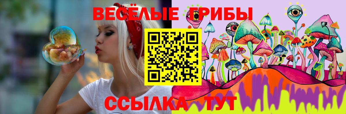 Галлюциногенные грибы ЛСД  даркнет сайт  Нальчик  Галлюциногенные грибы Psilocybe  Вход с VPN 