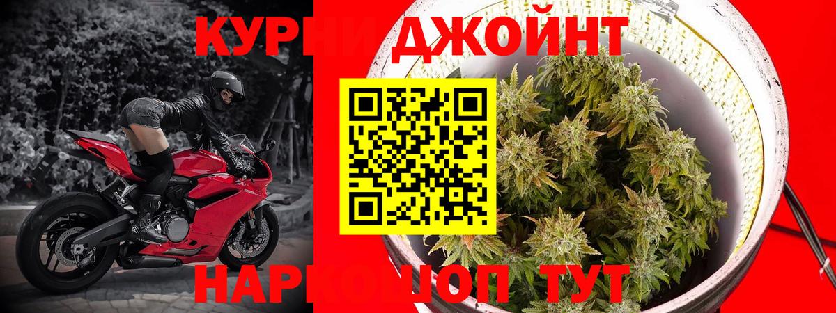Бошки Шишки Amnesia Нальчик